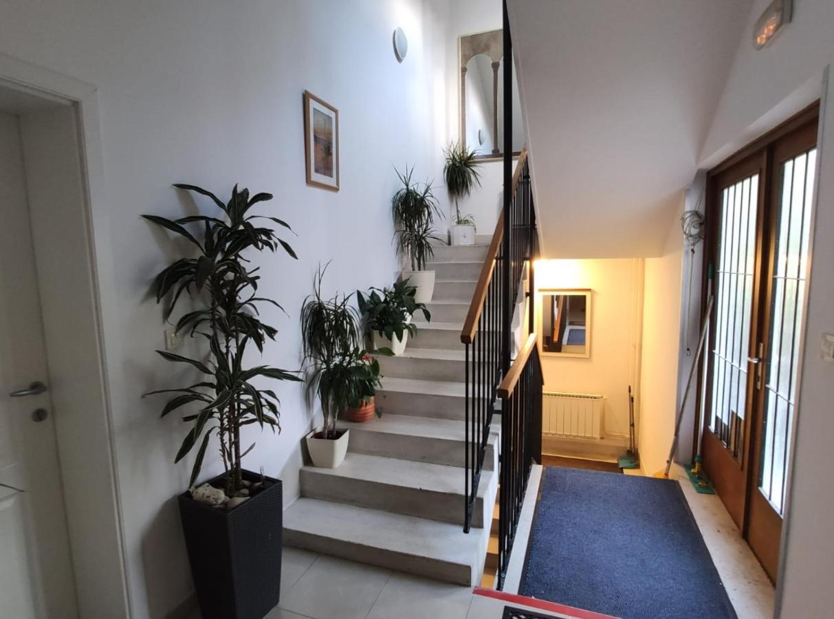 Ivana Apartman 2 Цриквеница Экстерьер фото